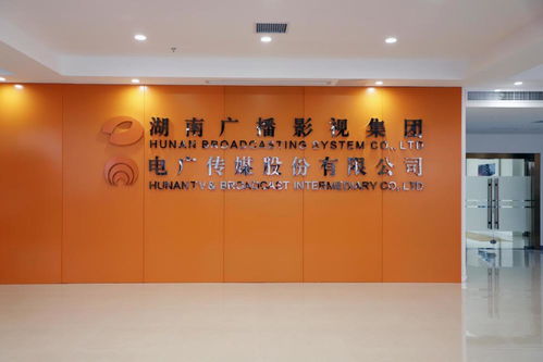 電廣傳媒上半年凈利潤4.71億創(chuàng)紀(jì)錄，藝術(shù)策劃與內(nèi)容生態(tài)協(xié)同發(fā)展成亮點